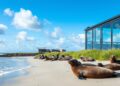 Seehundstation Friedrichskoog